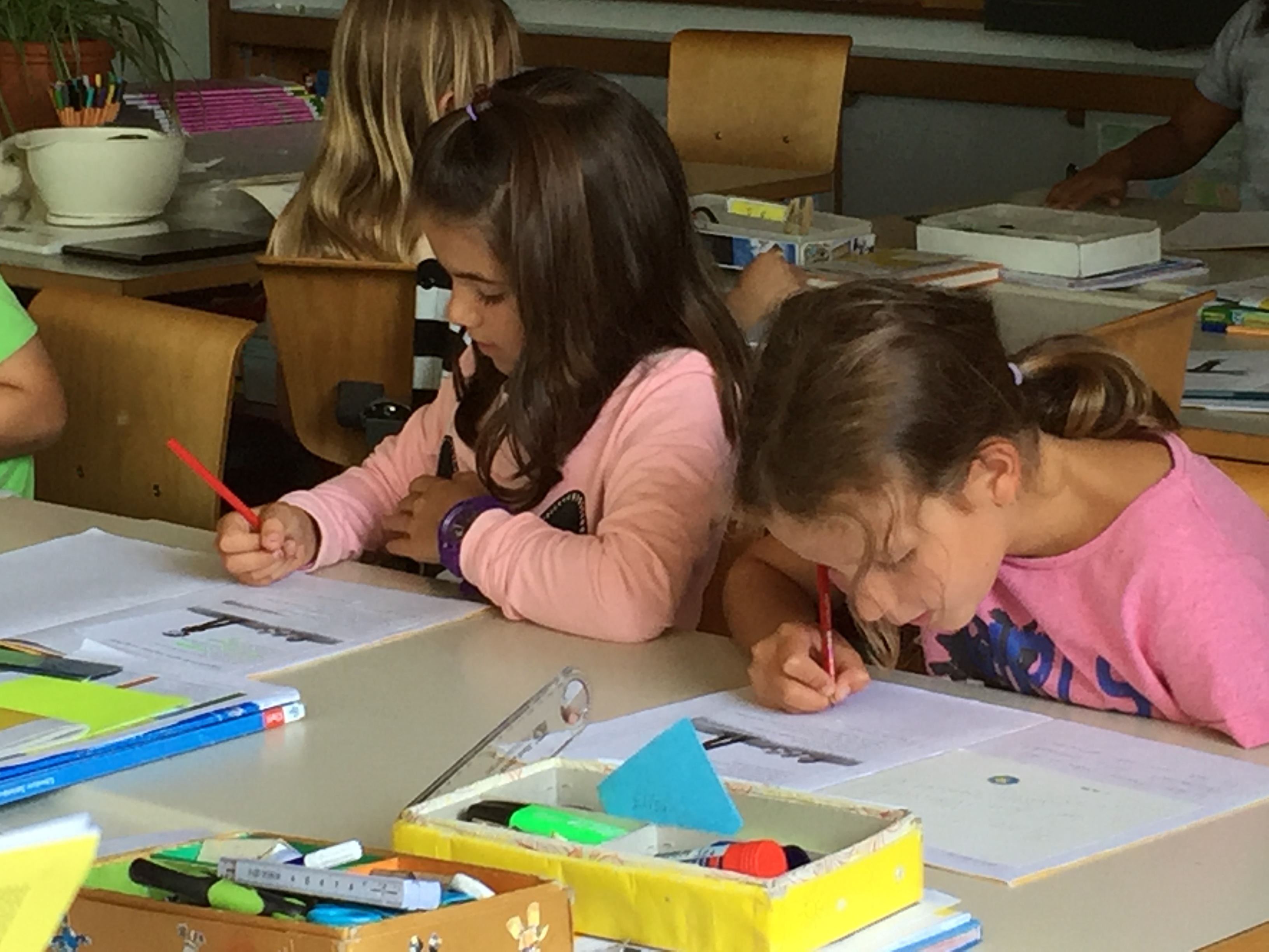 Die ersten Schulwochen Primarschule Ottenbach Die ersten Schulwochen Primarschule Ottenbach